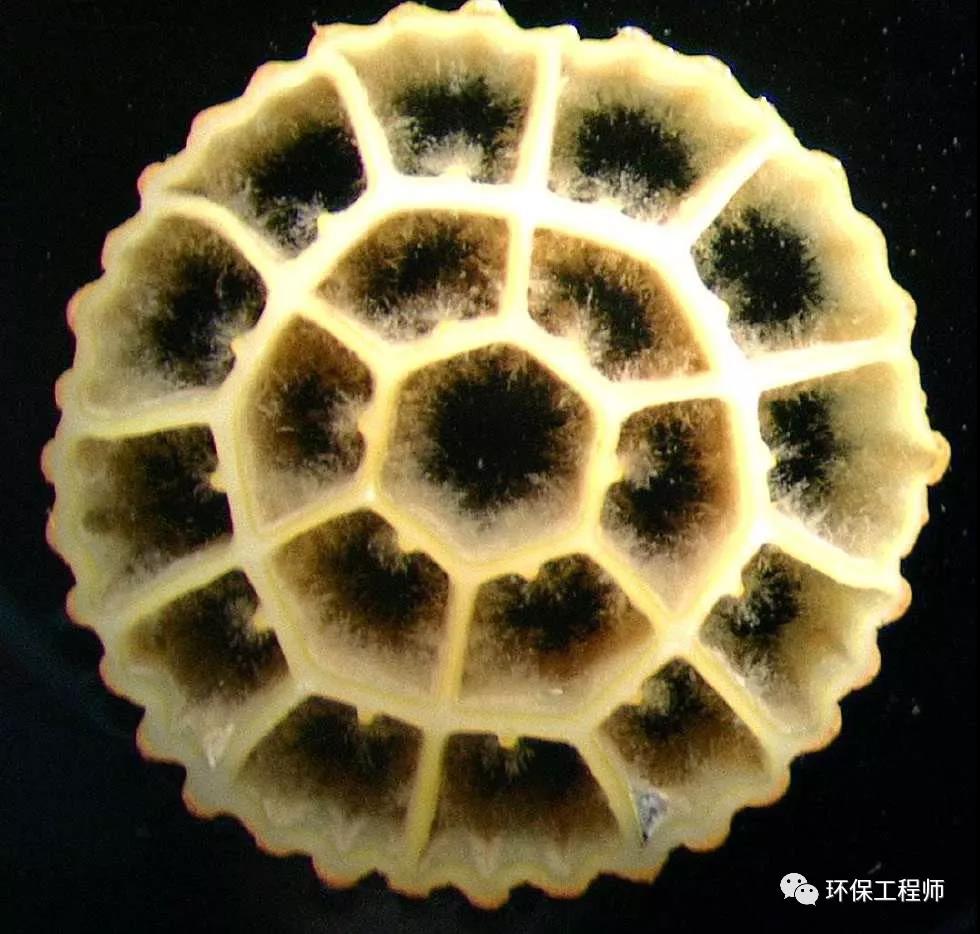 2-2002201224151N.jpg